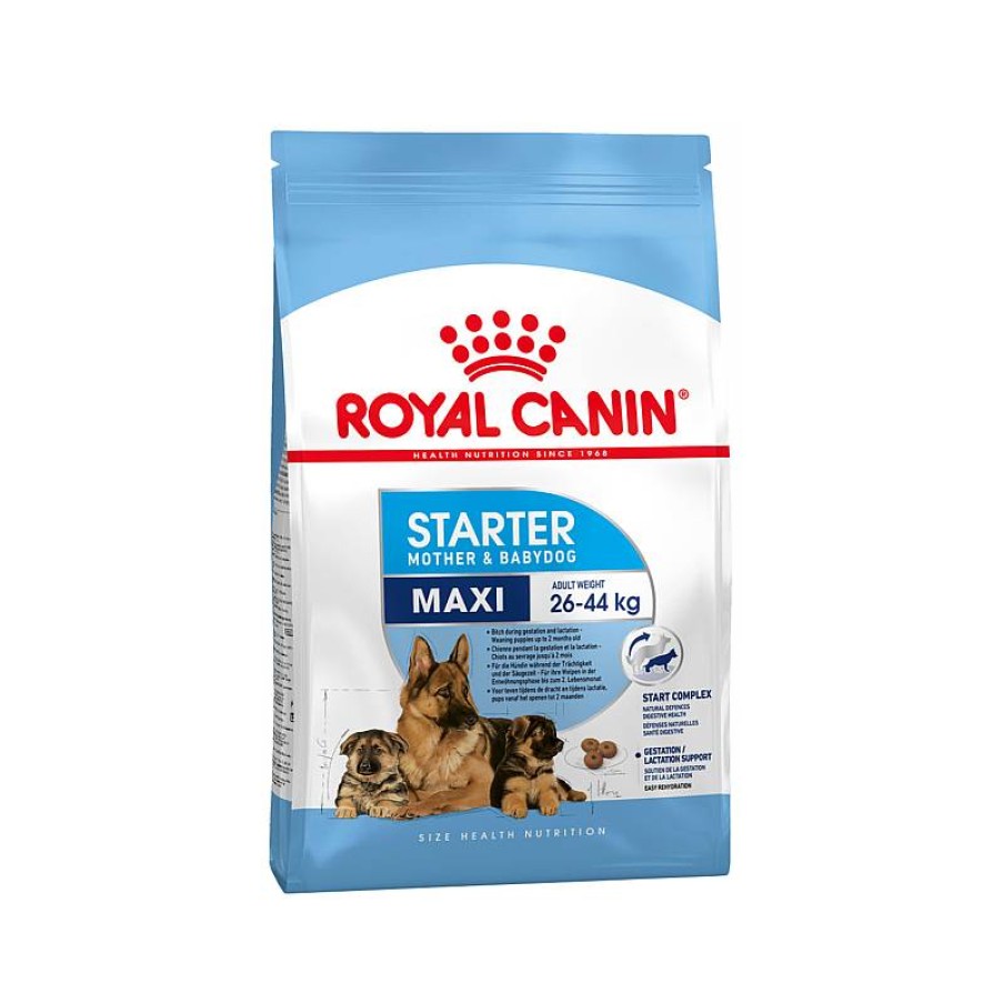 Royal Starter Maxi 4 Kg Wholesale